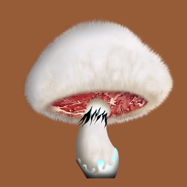 Desert Storm | ifungiclub | #182