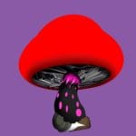 Amythiyst | ifungiclub | #223