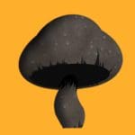 Rhinocertidae | ifungiclub | #555