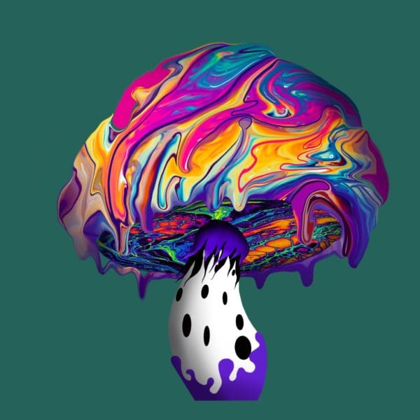 Glue | ifungiclub | #716