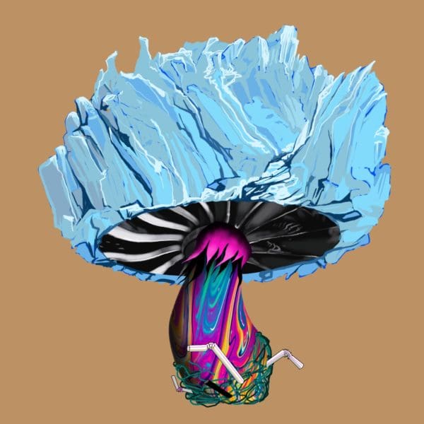 Dirty Iceberg | ifungiclub | #756