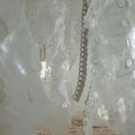 Mei Huang | photo 7 | 2022