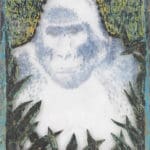 Sue Hayward/Mountain Gorilla/2020