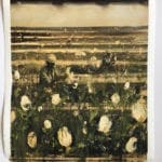 Enrico Freitag | flowers