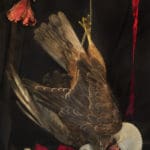 Fiona Pardington | Young Hawk, Hag stone and Paper Nautilus, Ripriro Beach | 2014