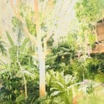 ANJA GANSTER - GREENHOUSE