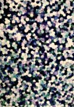 Danielle Benvenuto | ASCENDANT, 2020