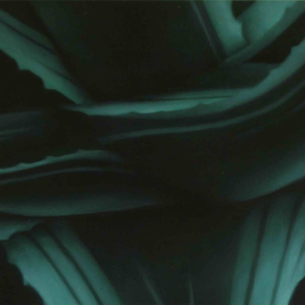 THOMAS KITZINGER - F7-21