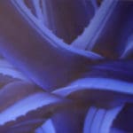 THOMAS KITZINGER - A5-21