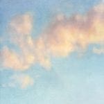 Martine Poppe | The Venus Effect, 2018