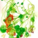 Nanae Suzuki | Pflanzengedächtnis / Memory of Plants - Nr. 6| 2008