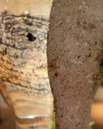 OLIVER CZARNETTA - Spektrum (Schrift und Beton) - Image 2