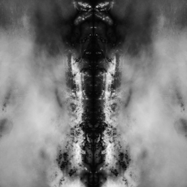 Paula Klien | Alight 2 | 2020
