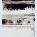 Paula Klien | Cloud 11.2 | 2020