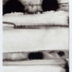 Paula Klien | Cloud 11.4 | 2020