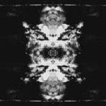 Paula Klien | Nocturnal Animals 2 | 2019