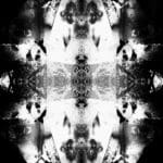 Paula Klien | Nocturnal Animals 4 | 2019