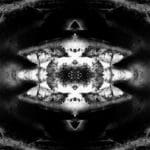 Paula Klien | Nocturnal Animals 5 | 2019