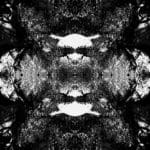 Paula Klien | Nocturnal Animals 6 | 2019