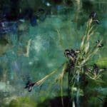 CAROLA SCHAPALS - Faded Iris