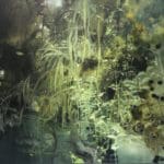 CAROLA SCHAPALS - Leave me in this green