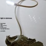 Sonja Baeger, „Light in the darkness“