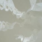 Mei Huang | photo 9 | 2022