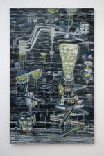 Wilfried Habrich | blauflüglige Prachtlibelle | 2020