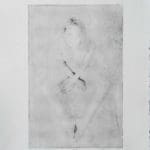 XJ Peng | Looking Up 2-25 | 2016