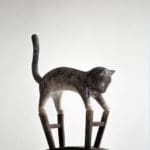 Migrant Bird Space | Zhang Ruo | Small Cat | 2022