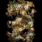 Spectacular Specimen II, 2022