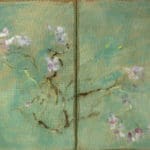 Andrea Lehnert | Magnolias