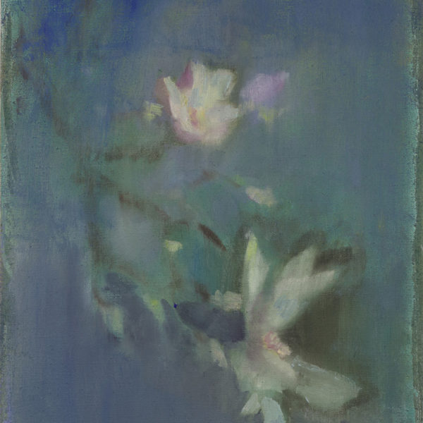 Andrea Lehnert | Magnolias