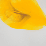 May Carro Cabaleiro | ohne Titel | 2022