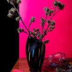 Carina Linge - Stilleben mit Disteln (Tableau K.T.), 2020