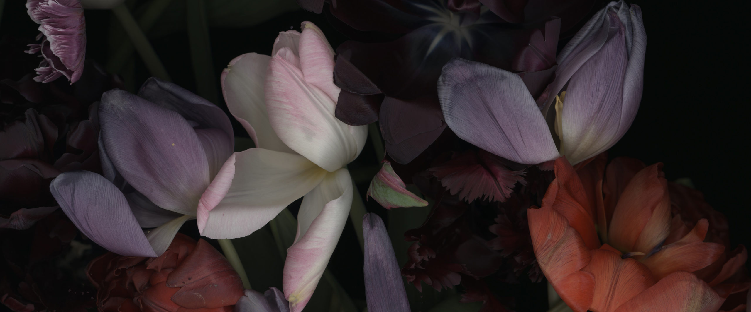 LUZIA SIMONS - Stockage 115, 2011 - Image 1