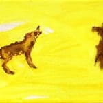 FRANEK | Kojotengeschichten 1 | 2020