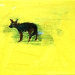 FRANEK | Kojotengeschichten 3 | 2020