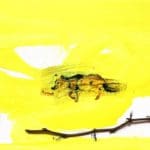 FRANEK | Kojotengeschichten 4 | 2020