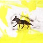 FRANEK| Kojotengeschichten 5 | 2020