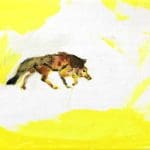 FRANEK | Kojotengeschichten 6 | 2020