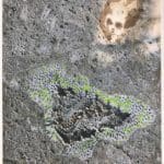 FRANEK | Muscheltank 10 | 2020