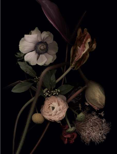 LUZIA SIMONS, Stockage 140, 2020