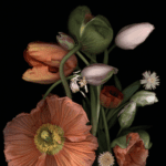 LUZIA SIMONS, Stockage 178, 2017