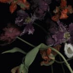 LUZIA SIMONS, Stockage 113, 2011