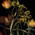 LUZIA SIMONS, Stockage 65