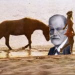 Thomas Draschan | A New Hope | 2016