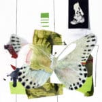 Fiona Ackerman | Catasticta Sibyllea | 2021