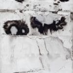 Paula Klien | Fluvius | 2019