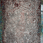 ART COMPASS Silber---klein Bermel von Luxburg